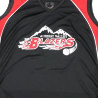 2 colour screen print on fastpitch vest