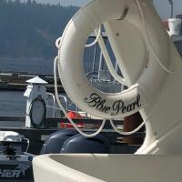 Boat Vinyl